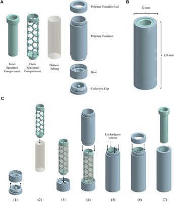 Osmotic Processor for Enabling Sensitive and Rapid Biomarker Detection via Lateral Flow Assays